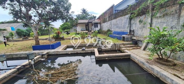 Dijual Rumah Bagus Siap Huni di Bogor Strategis Dijual Rumah Bagus Siap Huni di Bogor Strategis