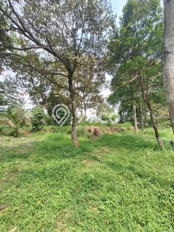 Tanah Dijual Lokasi Parung, Bogor Luas 4500m2 Legalitas Aman Tanah Dijual Lokasi Parung, Bogor Luas 4500m2 Legalitas Aman
