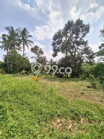 Tanah Dijual Lokasi Parung, Bogor Luas 4500m2 Legalitas Aman Tanah Dijual Lokasi Parung, Bogor Luas 4500m2 Legalitas Aman