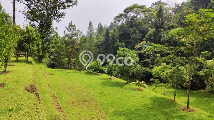 Tanah Dijual Lokasi Caringin, Bogor dengan Luas Tanah 7000m2 dan Status SHM Tanah Dijual Lokasi Caringin, Bogor dengan Luas Tanah 7000m2 dan Status SHM