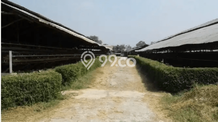 Tanah Lokasi Strategis di Cimuning, Luas 56000m², Dekat ke Pusat Kota Tanah Lokasi Strategis di Cimuning, Luas 56000m², Dekat ke Pusat Kota