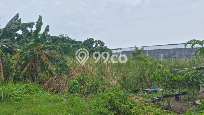 Tanah Dijual Lokasi Tegal Selatan Tegal SHM Tanah Dijual Lokasi Tegal Selatan Tegal SHM