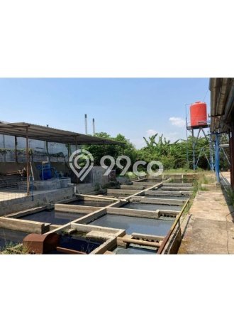 Untuk Dijual Pabrik di Pekalongan Barat Pekalongan LT 14970m2 / LB 6650m2 Untuk Dijual Pabrik di Pekalongan Barat Pekalongan LT 14970m2 / LB 6650m2