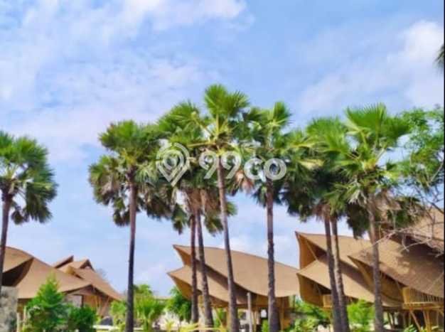 Vila Premium Kawasan Kota Waingapu, Luas 37806m2m², Akses Kota Waingapu, Sumba Timur, Sumba Timur Vila Premium Kawasan Kota Waingapu, Luas 37806m2m², Akses Kota Waingapu, Sumba Timur, Sumba Timur