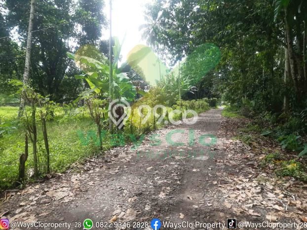 Kavling Tanah Dijual di Dimembe Minahasa Utara Spesifikasi 65000m2 Kavling Tanah Dijual di Dimembe Minahasa Utara Spesifikasi 65000m2