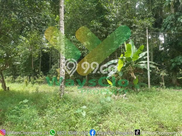 Kavling Tanah Dijual di Dimembe Minahasa Utara Spesifikasi 65000m2 Kavling Tanah Dijual di Dimembe Minahasa Utara Spesifikasi 65000m2