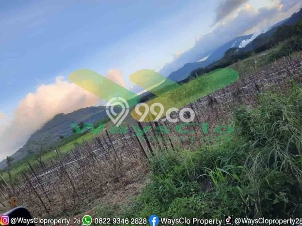 Tanah di Tomohon Selatan, Tomohon Luas 3747m2 Dijual Segera Tanah di Tomohon Selatan, Tomohon Luas 3747m2 Dijual Segera