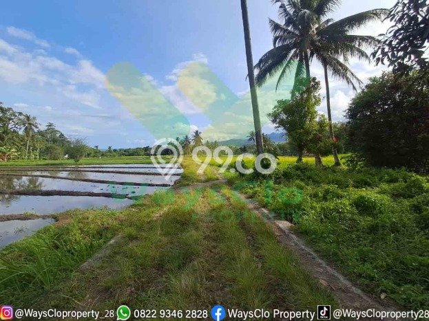 Tanah untuk Dijual di Kauditan Minahasa Utara Luas 28000m2 Tanah untuk Dijual di Kauditan Minahasa Utara Luas 28000m2