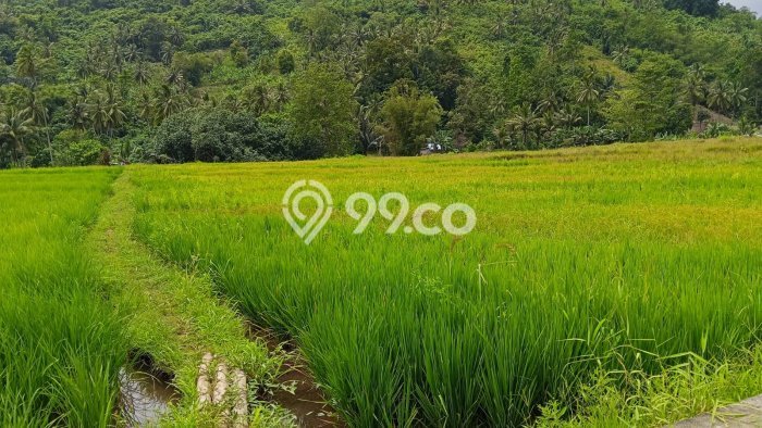 Tanah Dijual Lokasi Kauditan, Minahasa Utara dengan Luas Tanah 1876m2 dan Status - Tanah Dijual Lokasi Kauditan, Minahasa Utara dengan Luas Tanah 1876m2 dan Status -
