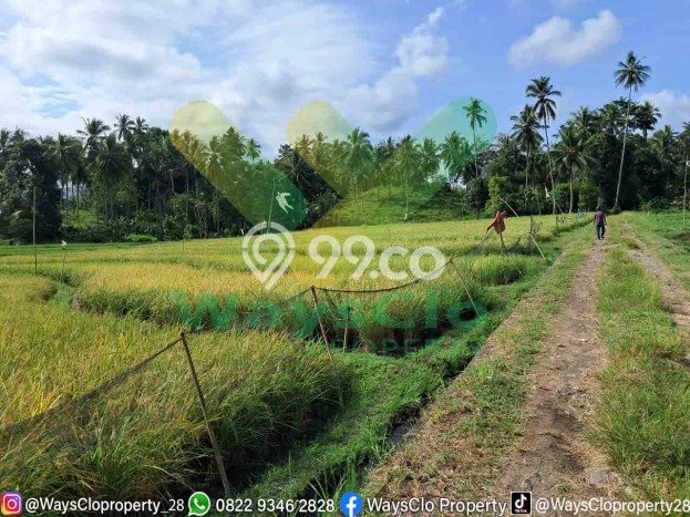 Tanah untuk Dijual di Kauditan Minahasa Utara Luas 28000m2 Tanah untuk Dijual di Kauditan Minahasa Utara Luas 28000m2