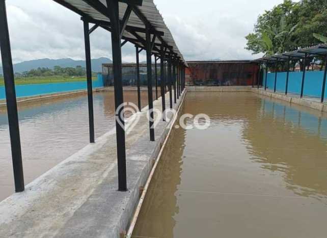 Komersial Bagus LT 700m2 LB 700m2 Dijual di Lebakwangi Kuningan Komersial Bagus LT 700m2 LB 700m2 Dijual di Lebakwangi Kuningan