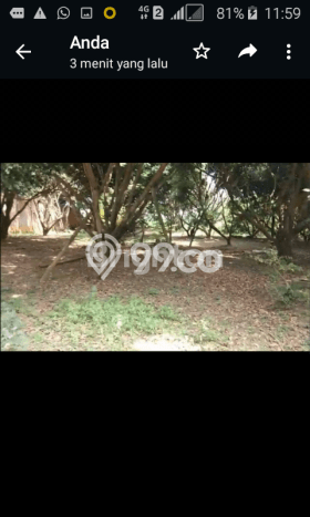 Tanah Dijual Lokasi Jabung, Malang Luas 5967m2 Legalitas Aman Tanah Dijual Lokasi Jabung, Malang Luas 5967m2 Legalitas Aman