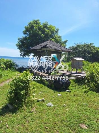 Tanah Komersial Dijual di Pujut Lombok Tengah 49468m2 Tanah Komersial Dijual di Pujut Lombok Tengah 49468m2