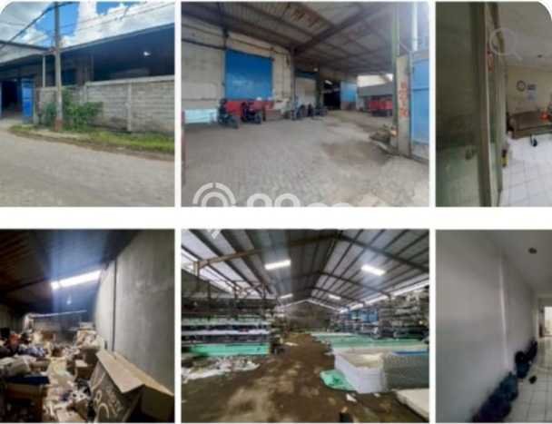 Paling Dicari! Gudang Dijual di Margomulyo Harga Kompetitif Paling Dicari! Gudang Dijual di Margomulyo Harga Kompetitif
