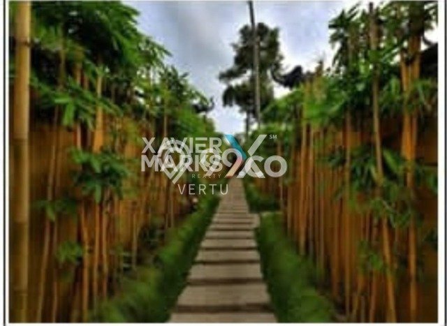 Kantor Dijual Lokasi Stratagis di Ubud Gianyar Cocok untuk Investasi Kantor Dijual Lokasi Stratagis di Ubud Gianyar Cocok untuk Investasi
