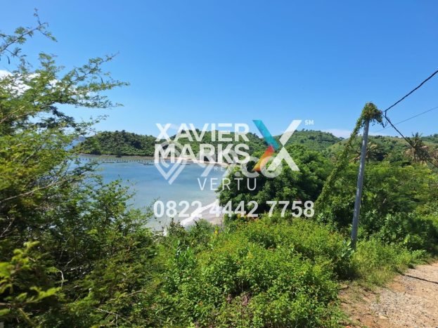 Tanah Komersial Dijual di Pujut Lombok Tengah 49468m2 Tanah Komersial Dijual di Pujut Lombok Tengah 49468m2