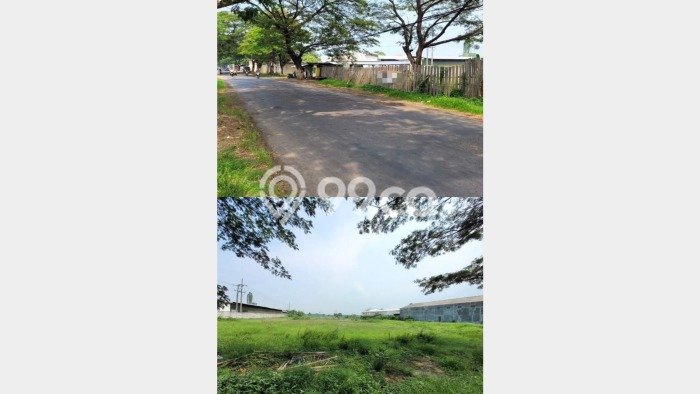Dijual Tanah Area Prospektif Kawasan Kraton, Luas 10886m2m², Dekat Kraton, Pasuruan, Pasuruan Dijual Tanah Area Prospektif Kawasan Kraton, Luas 10886m2m², Dekat Kraton, Pasuruan, Pasuruan