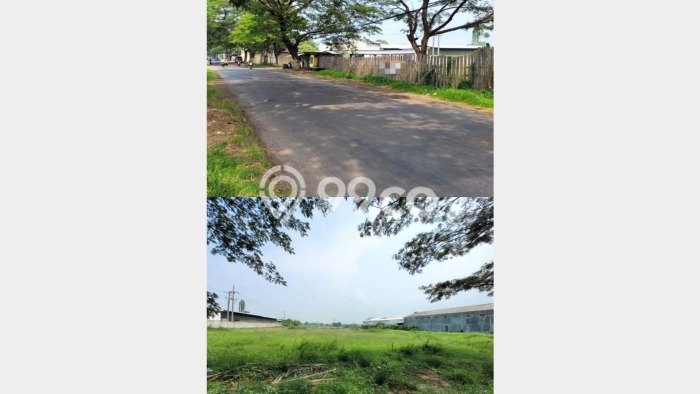 Dijual Tanah Area Prospektif Kawasan Kraton, Luas 10886m2m², Dekat Kraton, Pasuruan, Pasuruan Dijual Tanah Area Prospektif Kawasan Kraton, Luas 10886m2m², Dekat Kraton, Pasuruan, Pasuruan