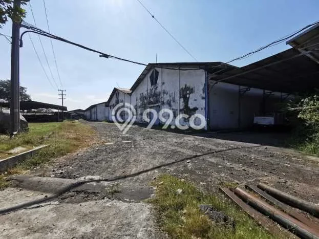 Pabrik Usaha Dijual di Beji Pasuruan LT 35758m2 & LB 9463m2 Pabrik Usaha Dijual di Beji Pasuruan LT 35758m2 & LB 9463m2