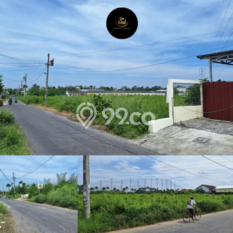 Tanah di Sleman, Sleman Luas 1900m2 Dijual Segera Tanah di Sleman, Sleman Luas 1900m2 Dijual Segera