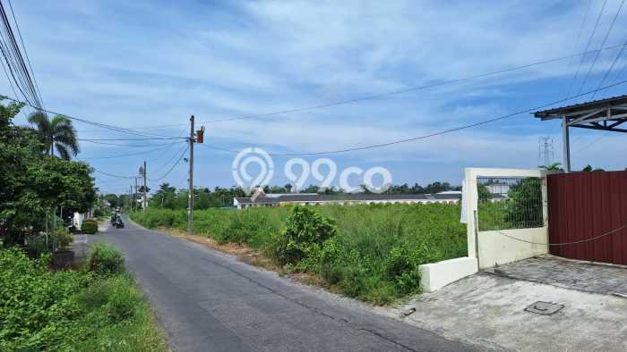 Tanah di Sleman, Sleman Luas 1900m2 Dijual Segera Tanah di Sleman, Sleman Luas 1900m2 Dijual Segera