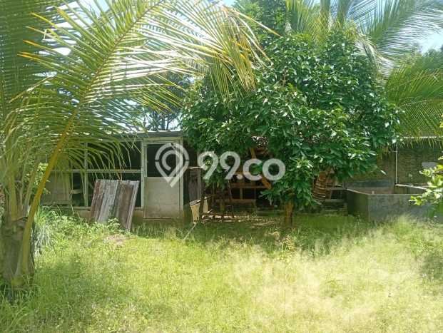Vila Strategis Kawasan Cibeber, Area 999m2m², Akses Cibeber, Cilegon, Cilegon Vila Strategis Kawasan Cibeber, Area 999m2m², Akses Cibeber, Cilegon, Cilegon