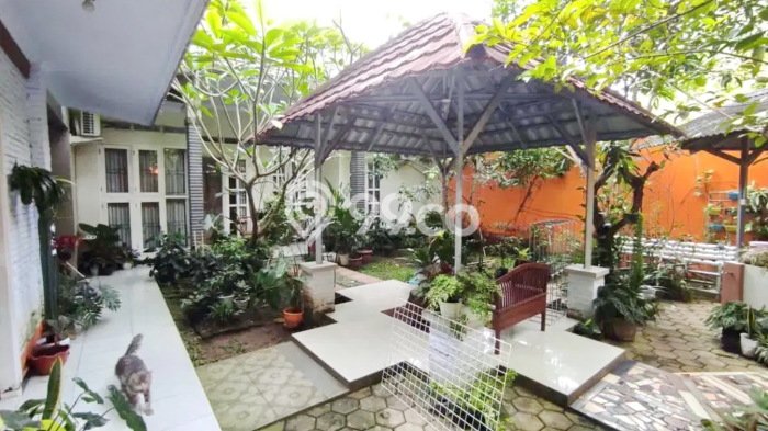 Hunian Elit LB 350m2 Siap Pakai Desain Elegan di Ciracas, Serang Hunian Elit LB 350m2 Siap Pakai Desain Elegan di Ciracas, Serang