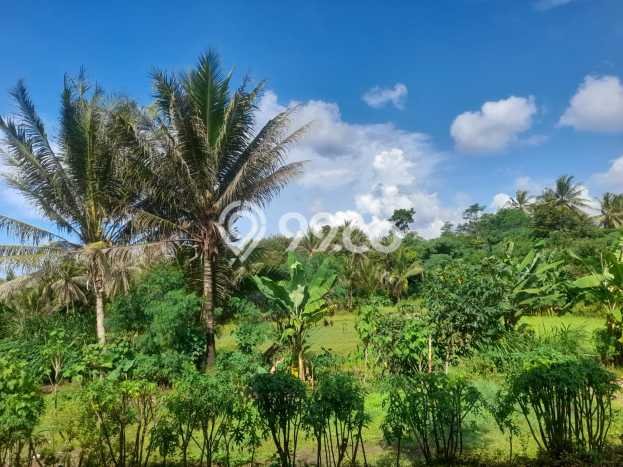 Kavling Tanah untuk Dijual di Cilegon Indah, Cilegon, Luas 500000m2 Kavling Tanah untuk Dijual di Cilegon Indah, Cilegon, Luas 500000m2