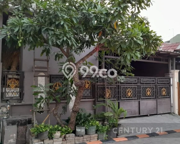 Hunian Murah Dijual Area Waringinkurung, Serang Harga Rp 375 Juta Hunian Murah Dijual Area Waringinkurung, Serang Harga Rp 375 Juta