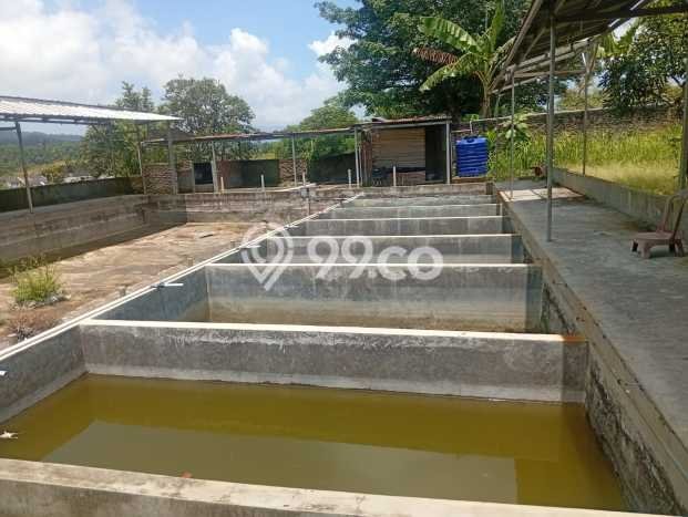 Vila Strategis Kawasan Cibeber, Area 999m2m², Akses Cibeber, Cilegon, Cilegon Vila Strategis Kawasan Cibeber, Area 999m2m², Akses Cibeber, Cilegon, Cilegon