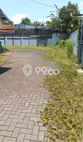 Gudang Paling Dicari LB 2000m2 Dijual di Gunung Sindur Gudang Paling Dicari LB 2000m2 Dijual di Gunung Sindur