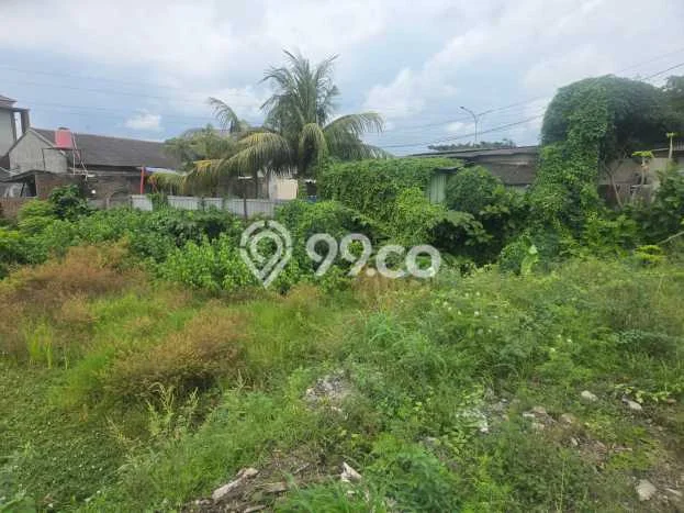 Jarang Ada! Tanah di Cilegon Punya Luas 3668m2 SHM Jarang Ada! Tanah di Cilegon Punya Luas 3668m2 SHM