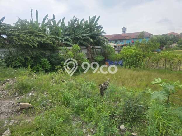 Jarang Ada! Tanah di Cilegon Punya Luas 3668m2 SHM Jarang Ada! Tanah di Cilegon Punya Luas 3668m2 SHM