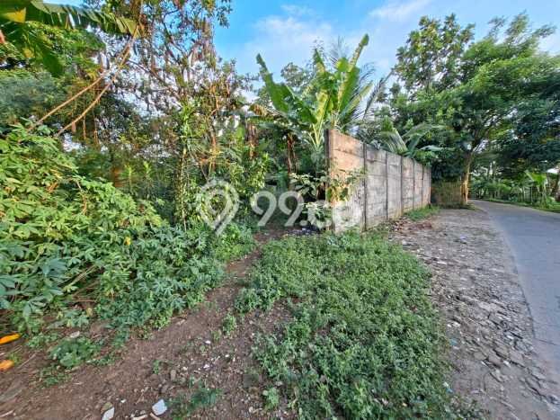 Lahan Dijual Lokasi Cisauk, Tangerang dengan Luas Tanah 706m2 dan Status SHM Lahan Dijual Lokasi Cisauk, Tangerang dengan Luas Tanah 706m2 dan Status SHM