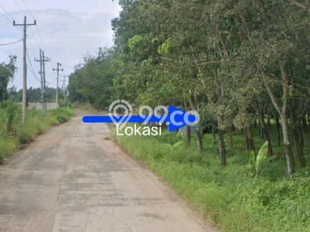 Kavling Tanah di Gringsing Dijual Luas 25000m2 Legalitas SHM Kavling Tanah di Gringsing Dijual Luas 25000m2 Legalitas SHM