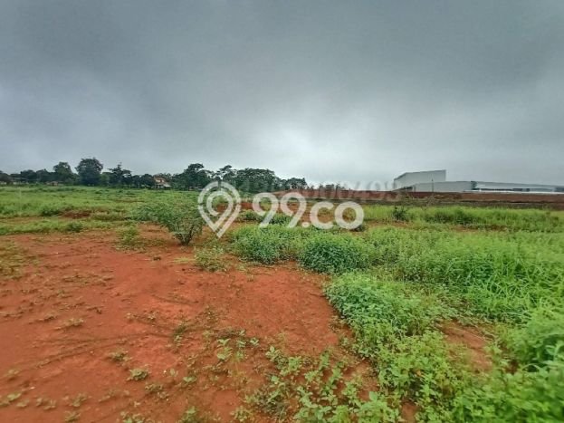 Untuk Dijual Tanah di Tulis Batang Luas 20000m2 - Untuk Dijual Tanah di Tulis Batang Luas 20000m2 -