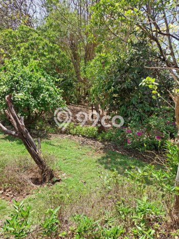 Tanah Siap Bangun Dijual di Badung Punya Luas 27900m2 Tanah Siap Bangun Dijual di Badung Punya Luas 27900m2