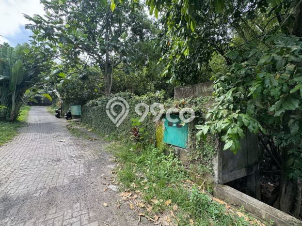 Tanah Investasi Dijual di Badung Punya Luas 1850m2 Tanah Investasi Dijual di Badung Punya Luas 1850m2