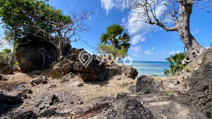 Kavling Tanah Dijual di Pantai Baru Rote Ndao Spesifikasi 8702m2 Kavling Tanah Dijual di Pantai Baru Rote Ndao Spesifikasi 8702m2