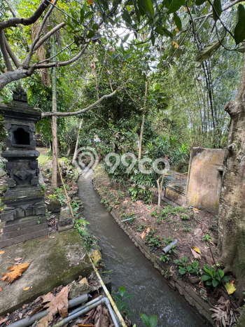 Tanah Investasi Dijual di Badung Punya Luas 1850m2 Tanah Investasi Dijual di Badung Punya Luas 1850m2