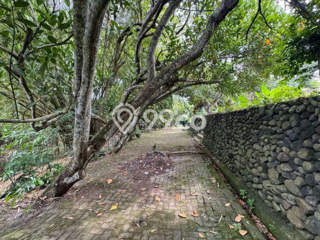 Tanah Investasi Dijual di Badung Punya Luas 1850m2 Tanah Investasi Dijual di Badung Punya Luas 1850m2