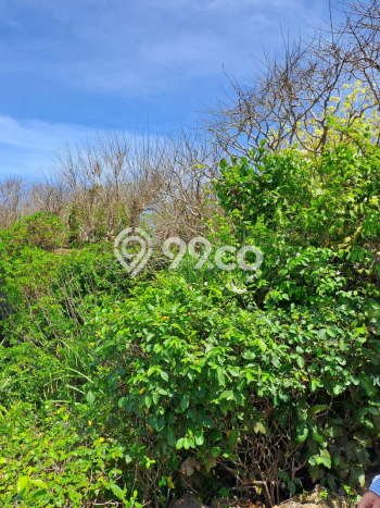 Tanah Siap Bangun Dijual di Badung Punya Luas 27900m2 Tanah Siap Bangun Dijual di Badung Punya Luas 27900m2