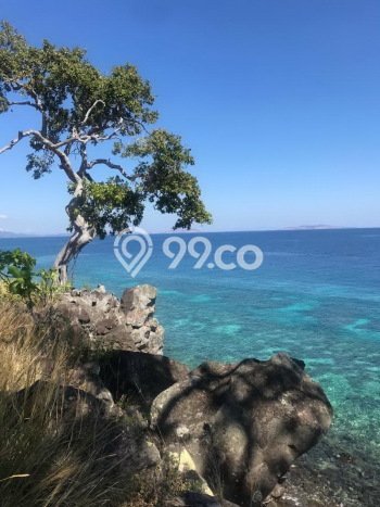 Tanah Dijual Area Strategis di Labuan Bajo Manggarai Barat 81000m2 Tanah Dijual Area Strategis di Labuan Bajo Manggarai Barat 81000m2