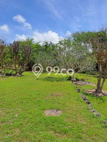 Tanah Siap Bangun Dijual di Badung Punya Luas 27900m2 Tanah Siap Bangun Dijual di Badung Punya Luas 27900m2