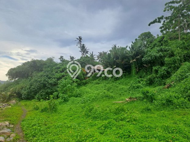 Tanah Dijual di Tabanan Seluas 313m2 Strategis Tanah Dijual di Tabanan Seluas 313m2 Strategis