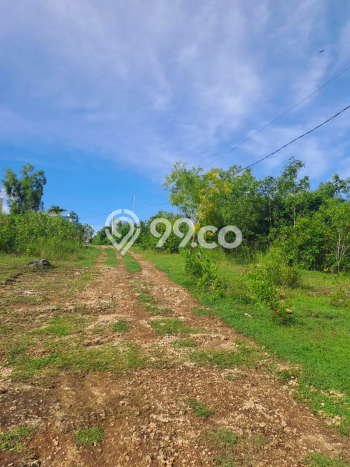 Tanah Dijual di Badung Seluas 997m2 Strategis Tanah Dijual di Badung Seluas 997m2 Strategis