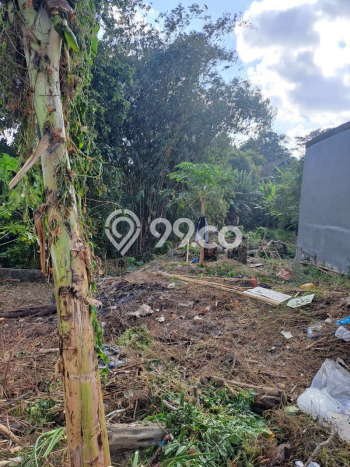 Tanah Dijual Area Strategis di Seminyak Badung 540m2 Tanah Dijual Area Strategis di Seminyak Badung 540m2