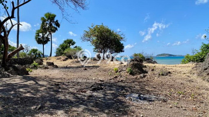 Kavling Tanah Dijual di Pantai Baru Rote Ndao Spesifikasi 8702m2 Kavling Tanah Dijual di Pantai Baru Rote Ndao Spesifikasi 8702m2