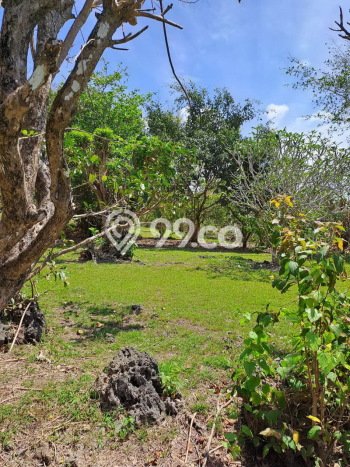 Tanah Siap Bangun Dijual di Badung Punya Luas 27900m2 Tanah Siap Bangun Dijual di Badung Punya Luas 27900m2