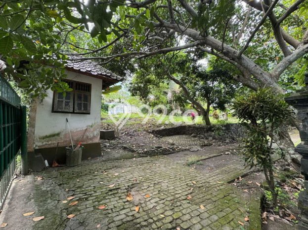 Tanah Investasi Dijual di Badung Punya Luas 1850m2 Tanah Investasi Dijual di Badung Punya Luas 1850m2